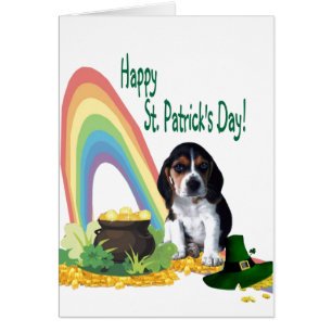 1. Perrito adorable de Basset Hound