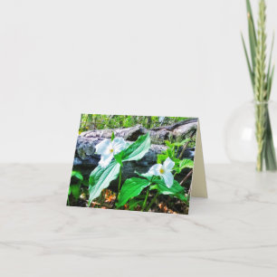 1 TARJETA DE RECIBIMIENTO DE TRILLIUMS