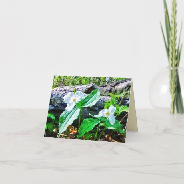 1 TARJETA DE RECIBIMIENTO DE TRILLIUMS (Anverso)