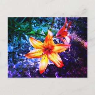 1 TARJETA POSTAL DE LLUVIA DIARIA