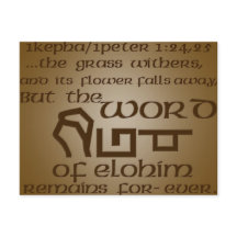 1Kepha/1Peter 1:24,25