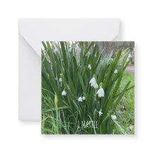 1Tarjeta de nota Martie