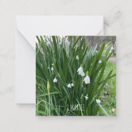 1Tarjeta de nota Martie