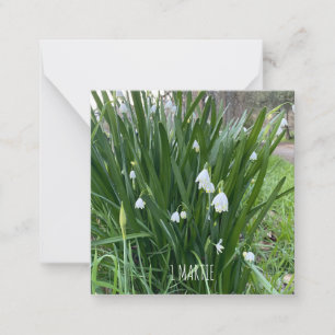 1Tarjeta de nota Martie