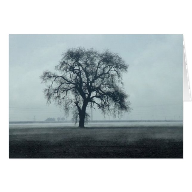 2004February 260 (Anverso (Horizontal))