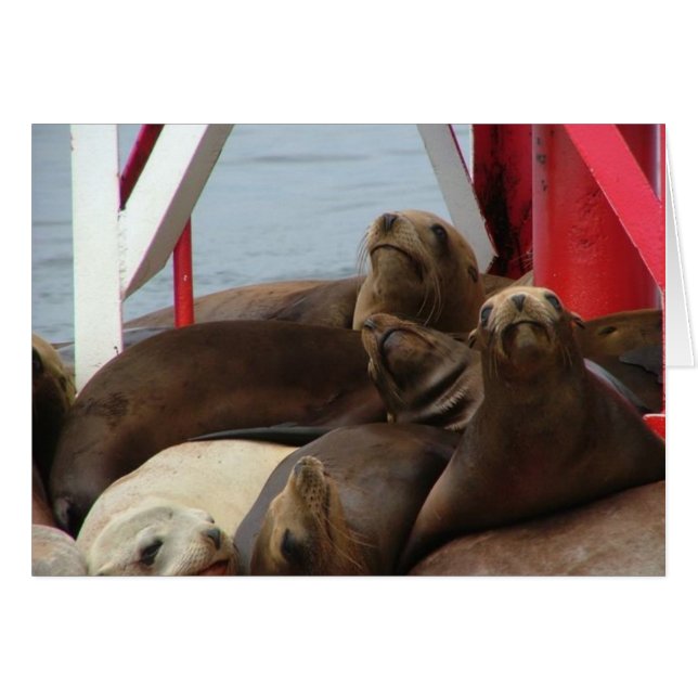 2005 Agosto de 2008 (Anverso (Horizontal))