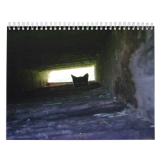 2009 amando el calendario salvaje del gato de