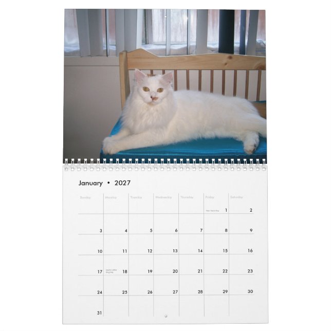 2009 amando el calendario salvaje del gato de (Jan 2027)