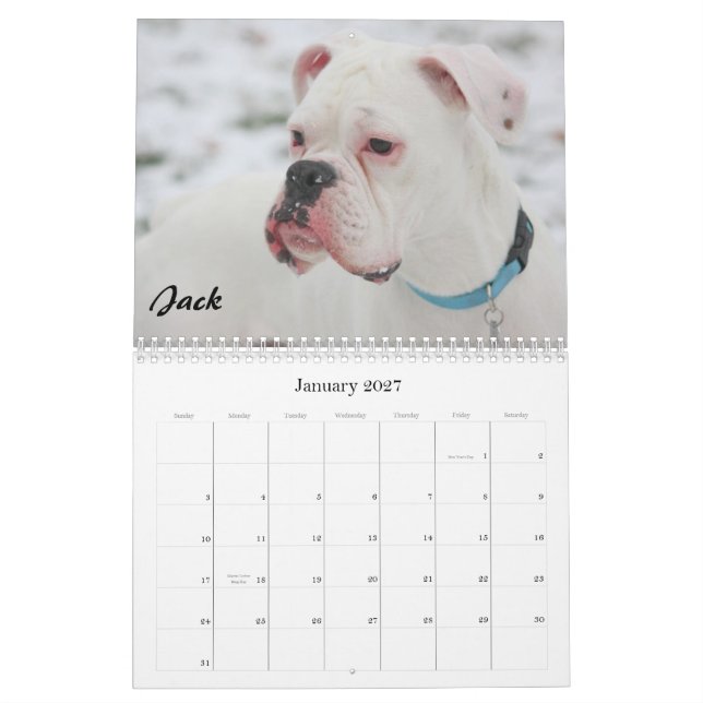 2010 A.C. calendarios - estilo llano (Jan 2027)