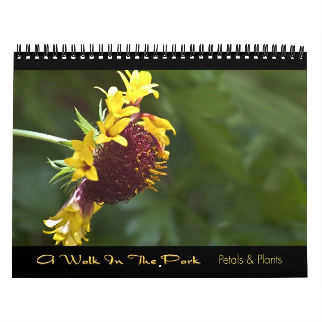2010 calendario - un paseo en el parque (Tapa)