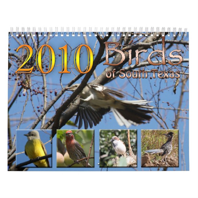 2010 pájaros del calendario de Tejas del sur (Tapa)