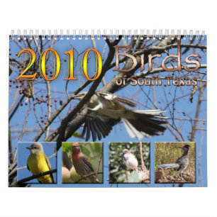 2010 pájaros del calendario de Tejas del sur