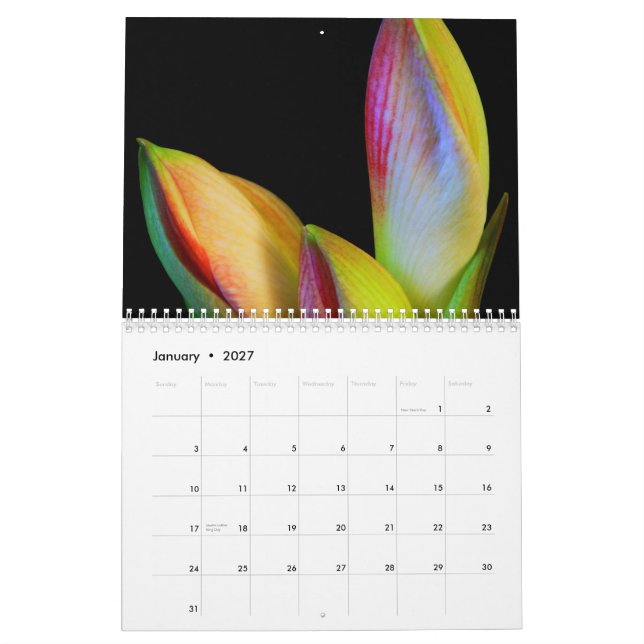 2011 calendario - flores (Jan 2027)