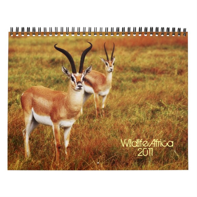2011 calendarios - fauna África (Tapa)
