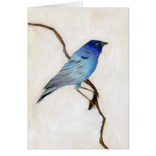 2012 poco azul (Frente)