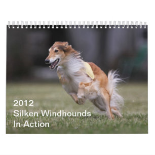 2012 Windhounds de seda en calendario de la acción