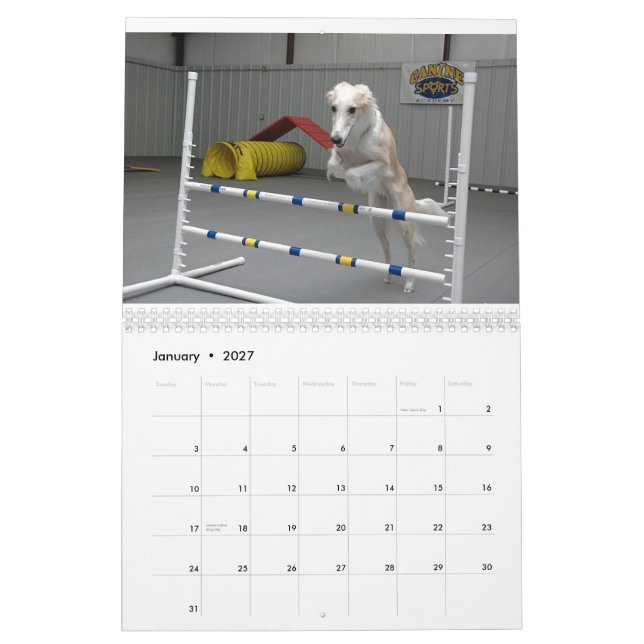 2012 Windhounds de seda en calendario de la acción (Jan 2027)
