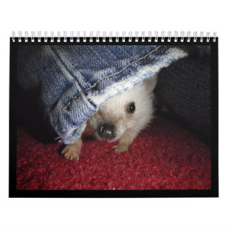 2013 calendario 2
