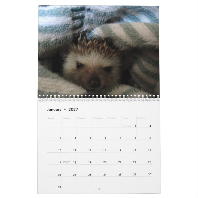 2013 calendario 2 (Jan 2027)