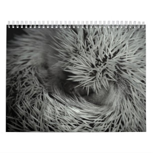 2013 calendario 3