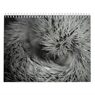 2013 calendario 3