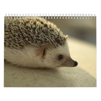 2013 calendario 4