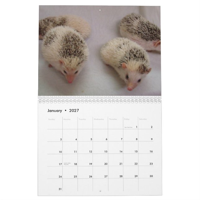 2013 calendario 4 (Jan 2027)