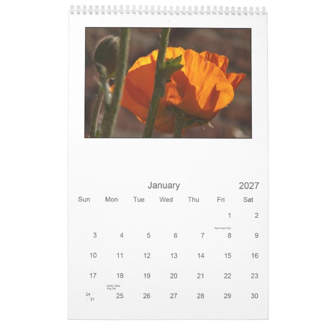 2013 - calendario de la amapola (Jan 2027)