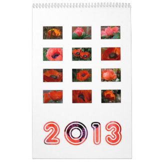 2013 - calendario de la amapola