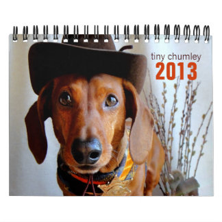 2013 calendario del Dachshund - chumley minúsculo