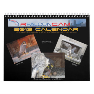 2013 calendario - imágenes principales de la leva