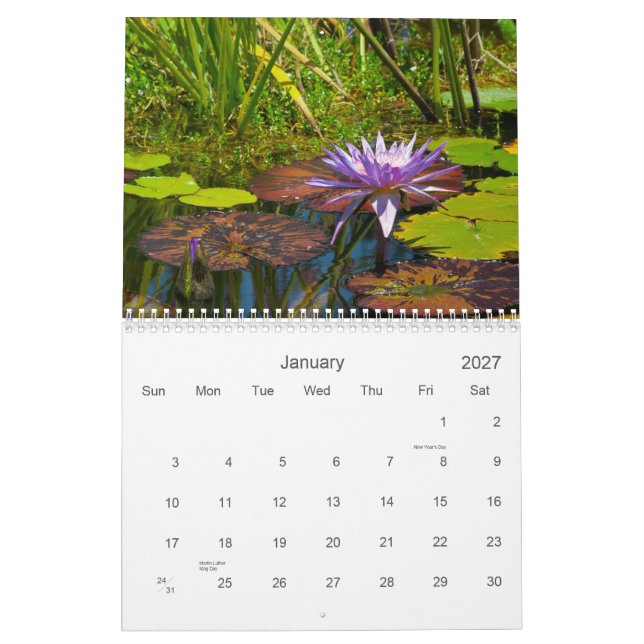 2013 calendario - la colección I de Shotwell (Jan 2027)