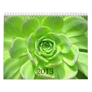 2013 calendario - naturaleza