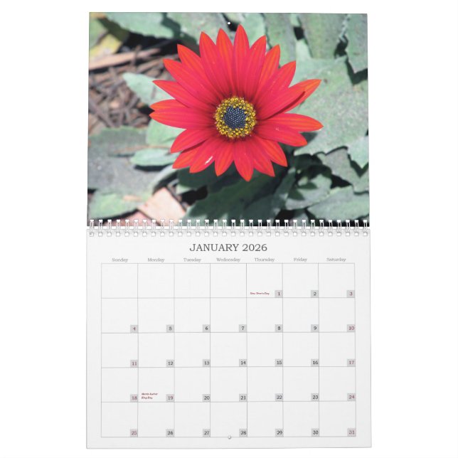 2013 calendario - naturaleza (Jan 2026)