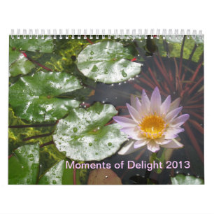 2013 momentos de calendario del placer