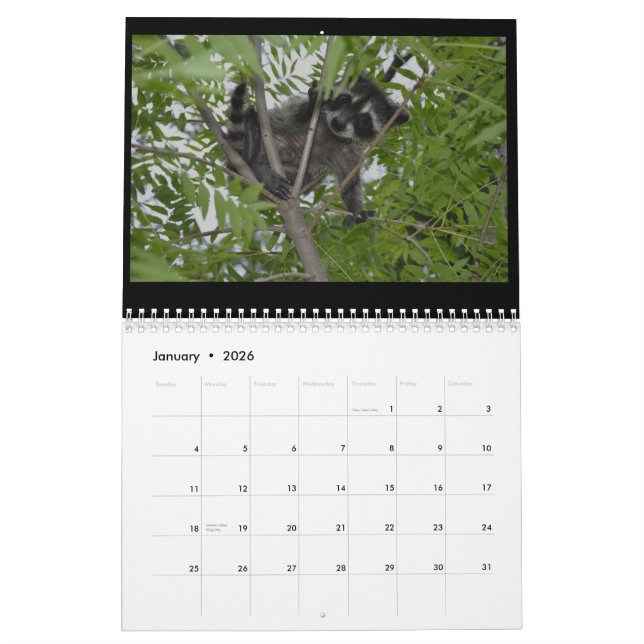 2014 calendario de la fauna - mapaches del bebé (Jan 2026)