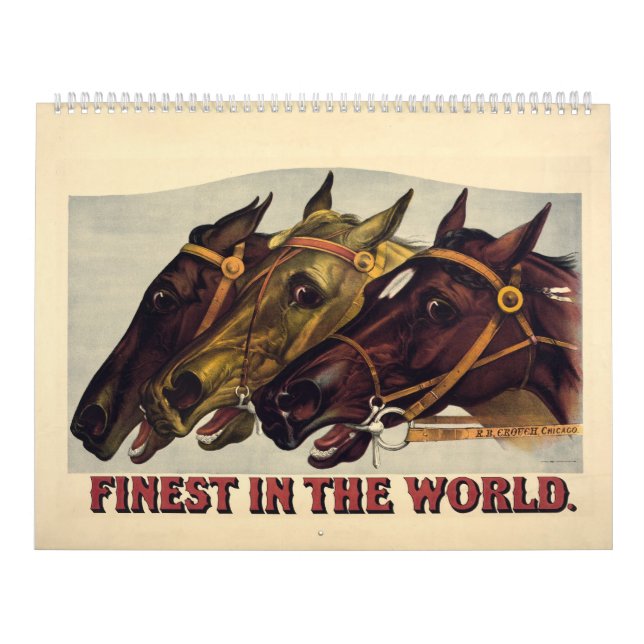 2014 el más fino del calendario de mundo (Tapa)