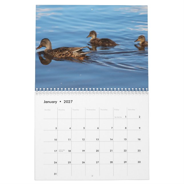 2014 patos del calendario (Jan 2027)