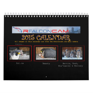 2015 calendario - collages principales de la leva