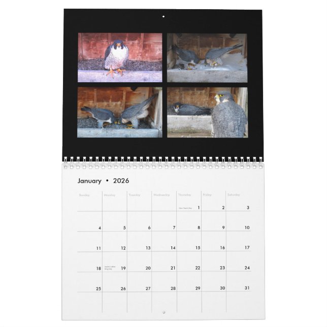 2015 calendario - collages principales de la leva (Jan 2026)