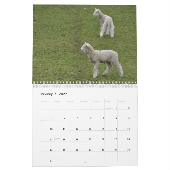 2015 ovejas de calendario de Nueva Zelanda (Jan 2027)