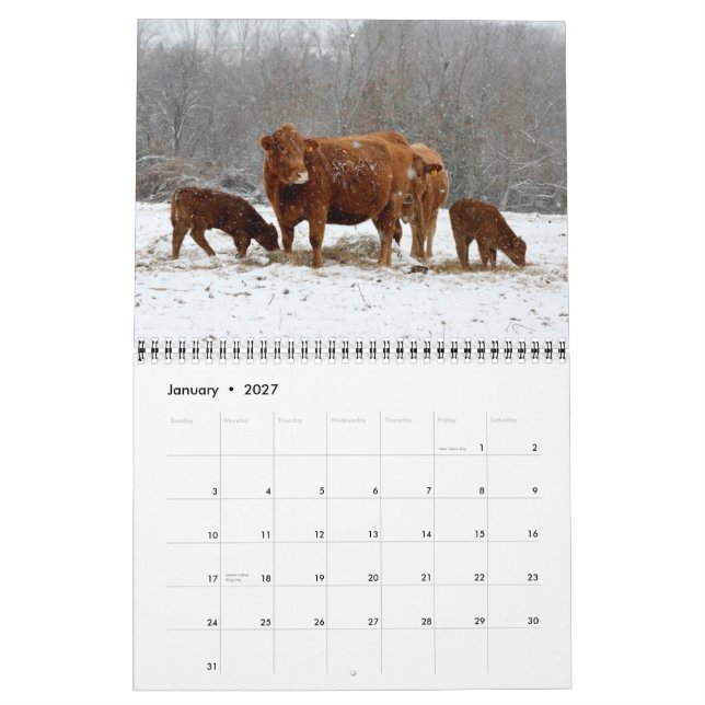 2015 vacas del calendario (Jan 2027)