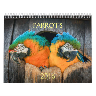 2016 calendario de loros, macaw, el Amazonas,