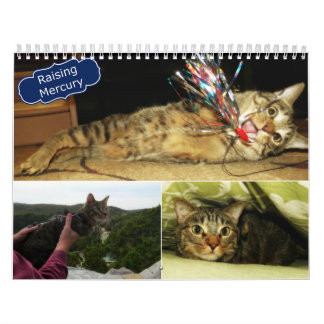 2016 calendarios de aumento de Mercury