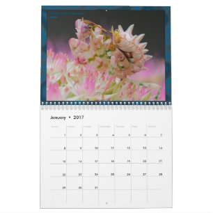 2017 calendario medio/grande de MANTIDFORUM