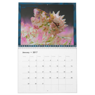 2017 calendario medio/grande de MANTIDFORUM