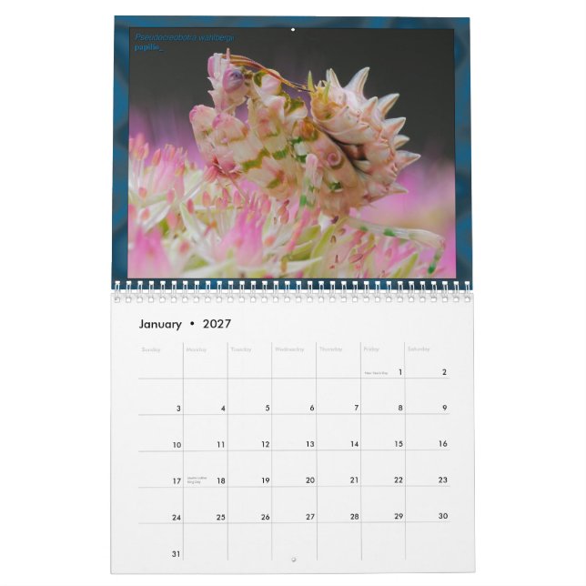 2017 calendario medio/grande de MANTIDFORUM (Jan 2027)