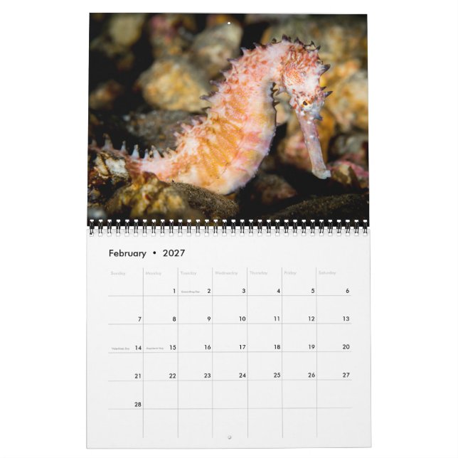 2017 hace calendarios bajo la superficie del mar (Feb 2027)