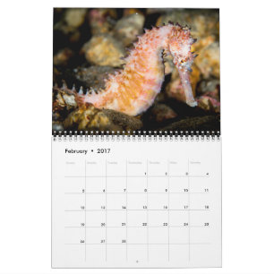 2017 hace calendarios bajo la superficie del mar