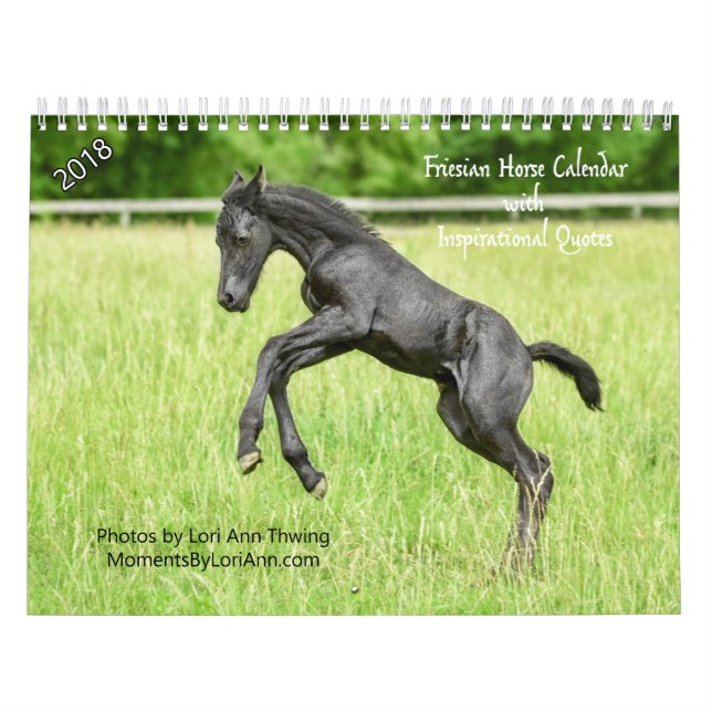 2018 calendarios frisios inspiradores del caballo (Tapa)